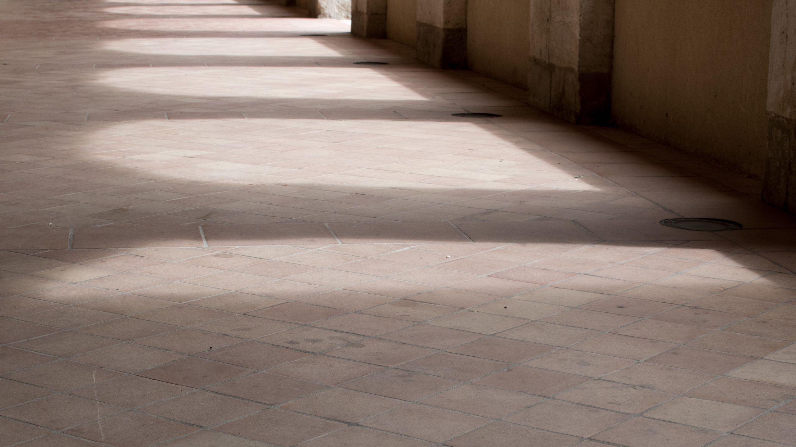 Meditation zur Erdung -Präsenz & Wachstum aus tiefen Wurzeln